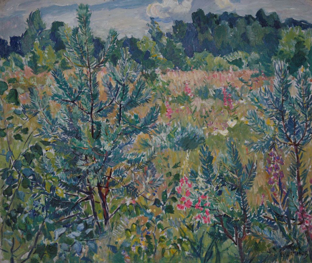 Сосенка. холст масло, 66х78